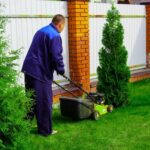 yard services near m