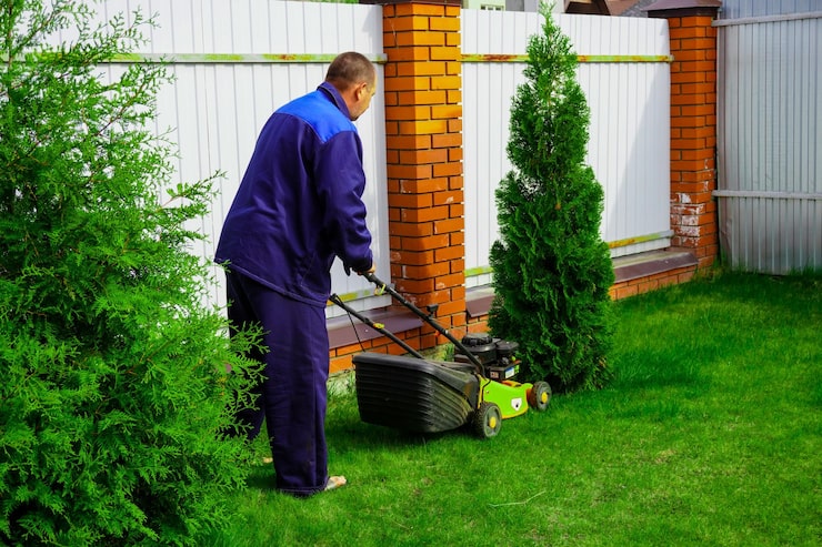 yard services near m